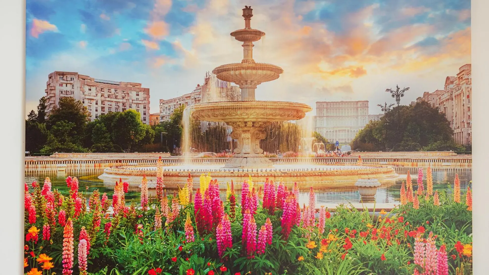 Apartment Old Town Stay Bucharest